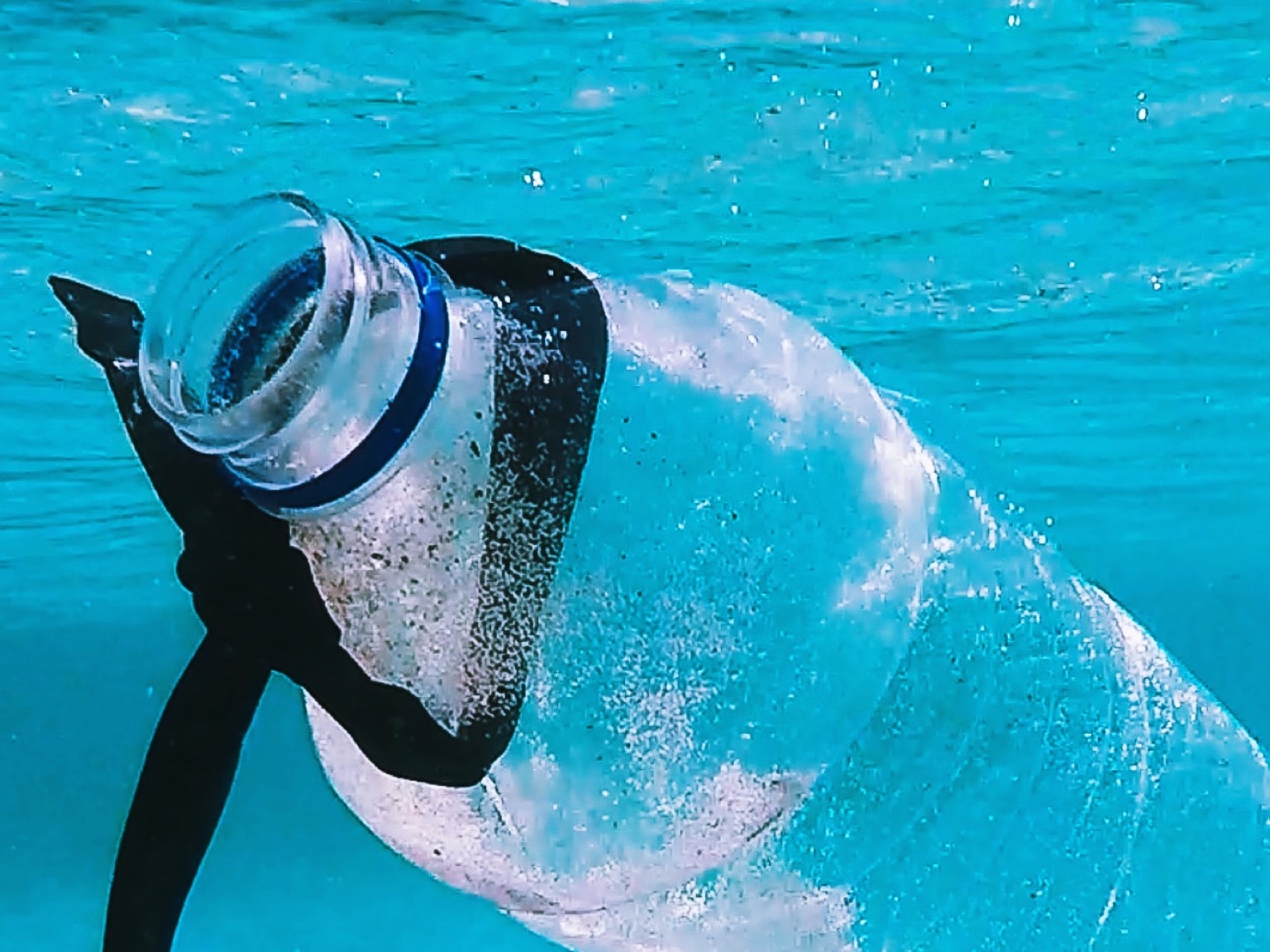 water bottle swimming in the ocean