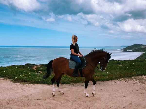 Pretty girl on Lusitano horse on the beach