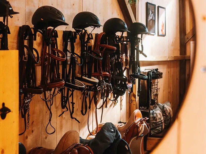 Cliff Surf House Portugal Santa Cruz - Horses - Accessoires