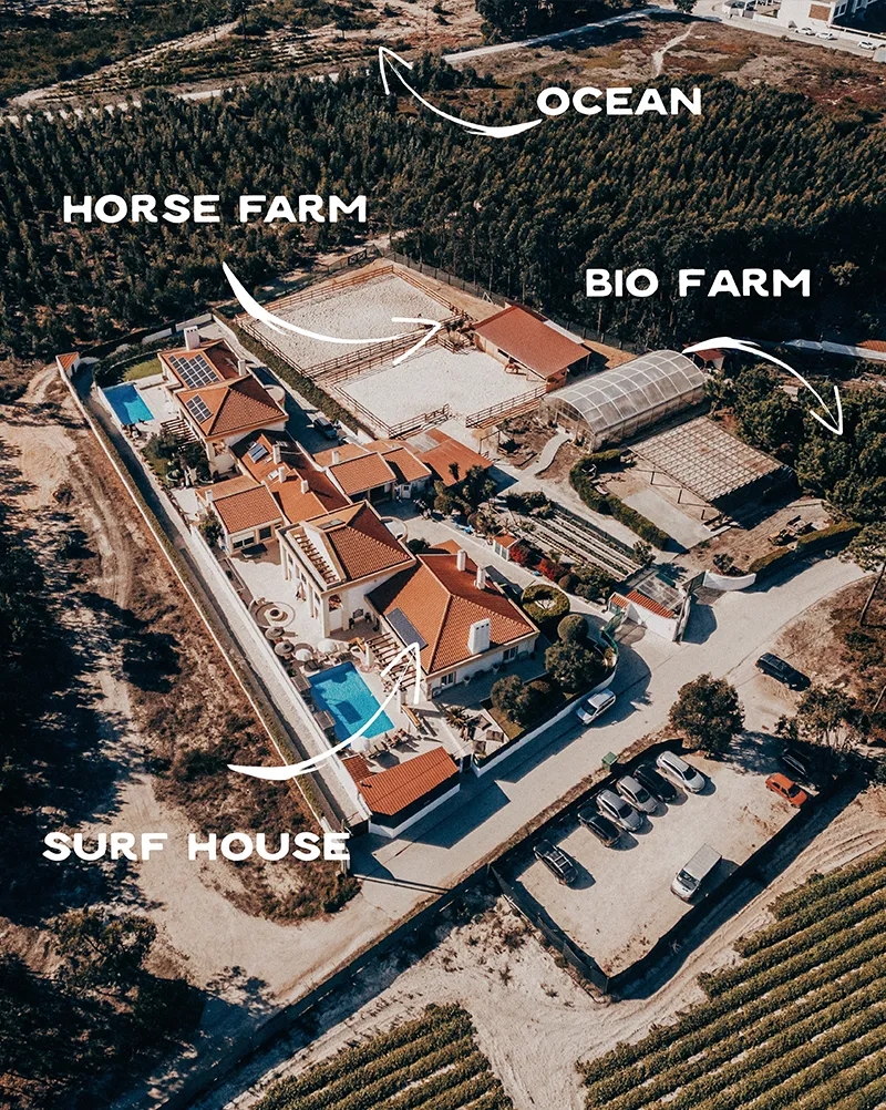 Cliff Surf House Portugal Santa Cruz - Overview
